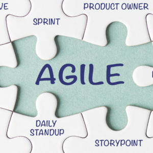 Agility in the Workplace